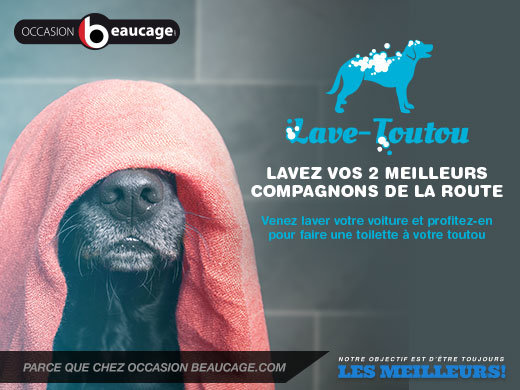 Lave-toutou chez Occasion Beaucage!