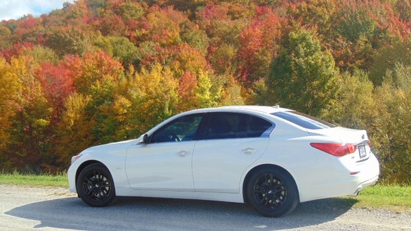 Infiniti Q50 2016